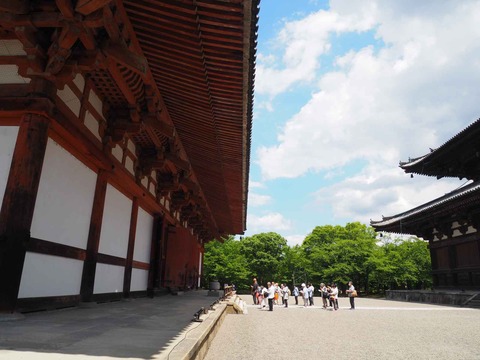 20230616東寺 (9)