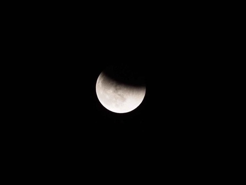月食0211119高速 (2)