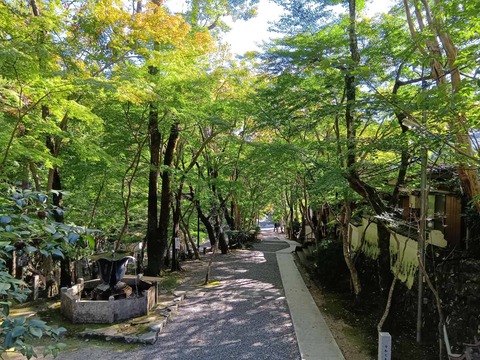20251029神峯山寺 (22)