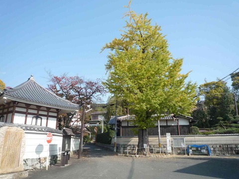 kouyo2017_12