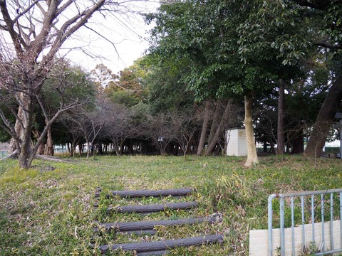 20220127アジャリの森 (7)