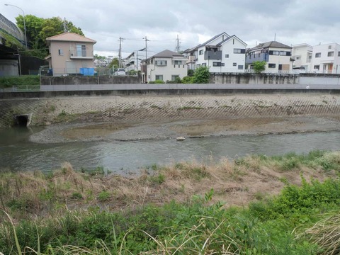20260427芥川土砂撤去大蔵司 (4)