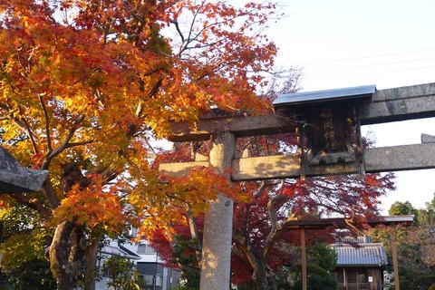 koyo191201_6
