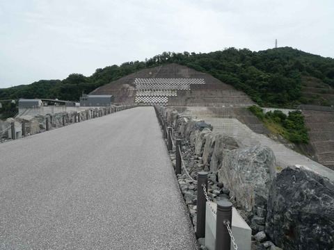 20240819安威川ダム (45)