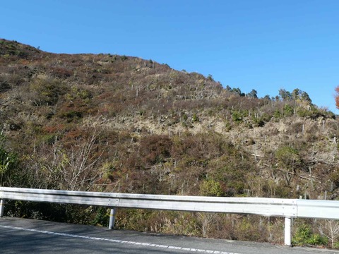 20241207府道6号紅葉 (36)