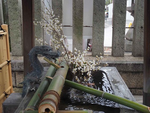 20220319野見神社 (3)