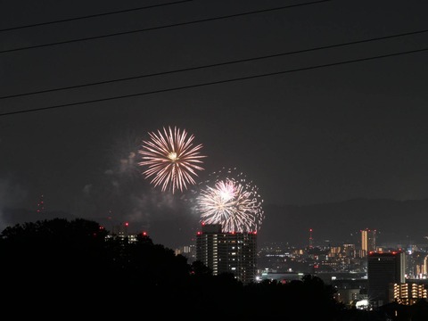 20240815くらわんか花火 (1)