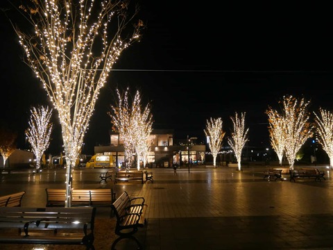 20241130安満関公園 (14)