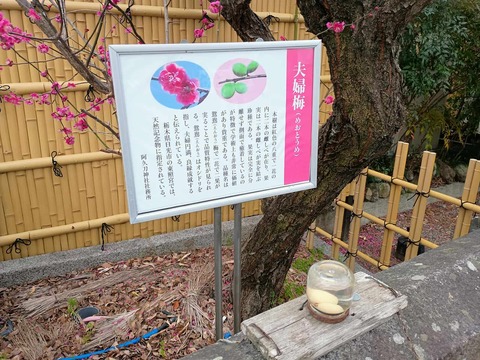 20250315阿久刀神社 (19)