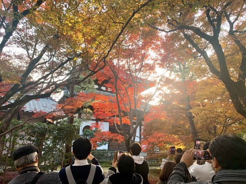 20211120東福寺 (2)