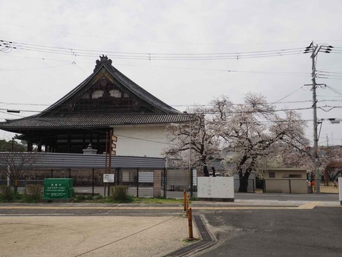 20230325筒井池公園 (32)