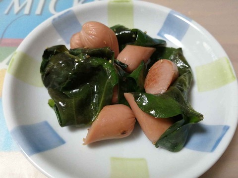 20230727オカワカメ (3)