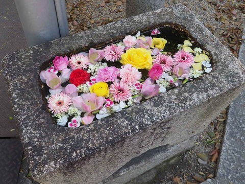 野見神社0409 (15)