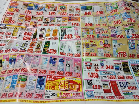 20260228コスモス (5)