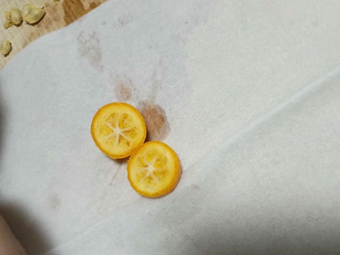 20250411キンカン (3)