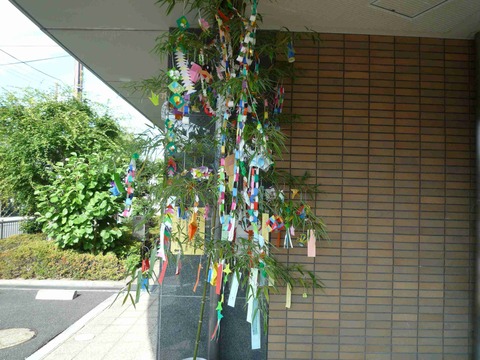 tanabata4
