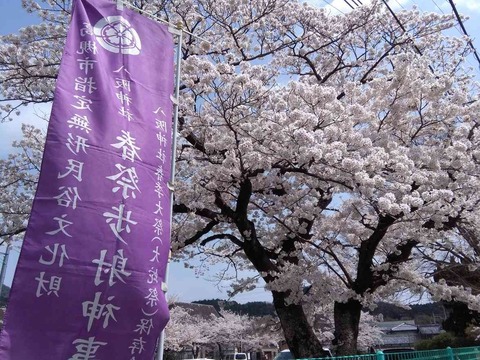 daijya2018_5