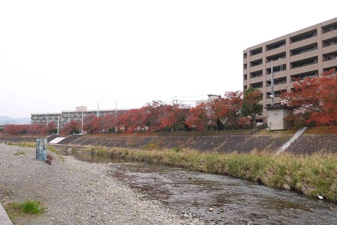akt_koyo191124_11