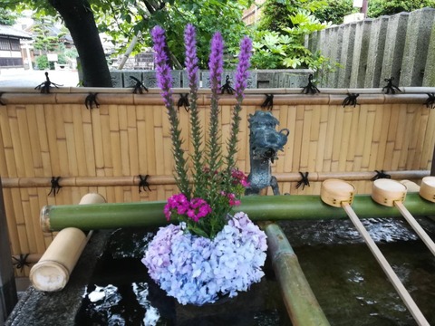 20240623野見神社花 (4)