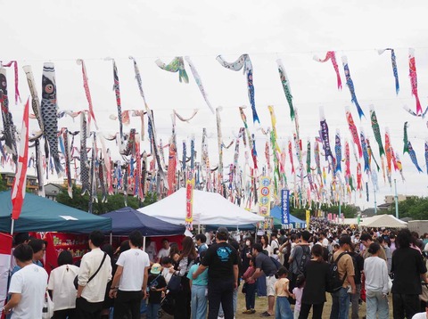 20240429こいのぼりフェスタ (2)