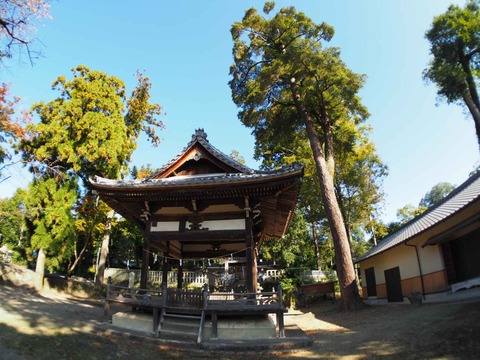 20221029八阪神社 (2)