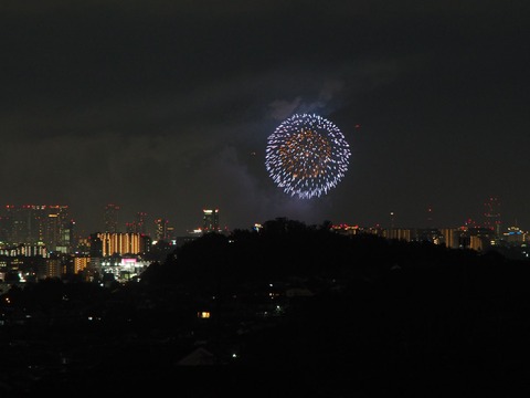 20230805淀川花火 (5)