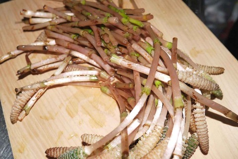 tukusi20200313_4