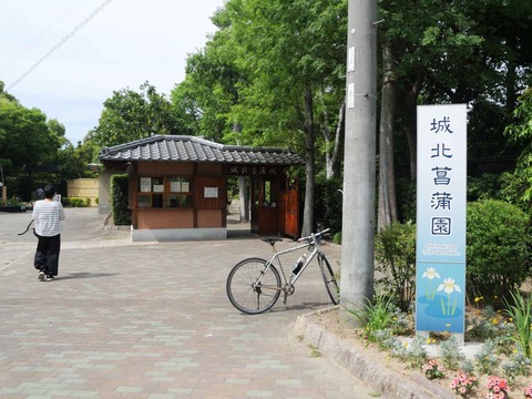 20240518城北公園 (1)