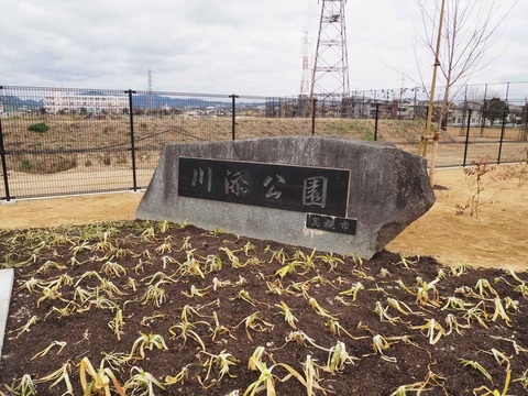 20230216川添公園 (12)