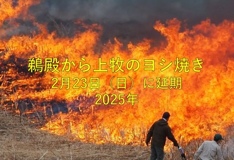 2025ヨシ焼き延期