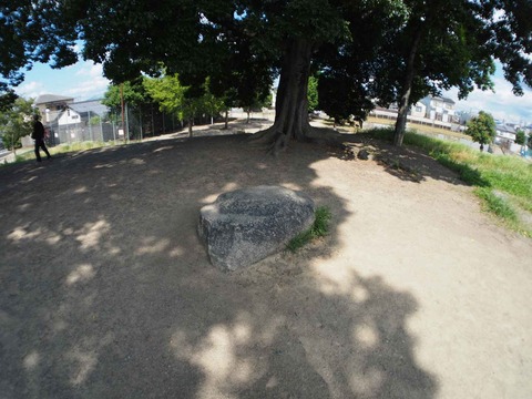 20230616東寺 (58)