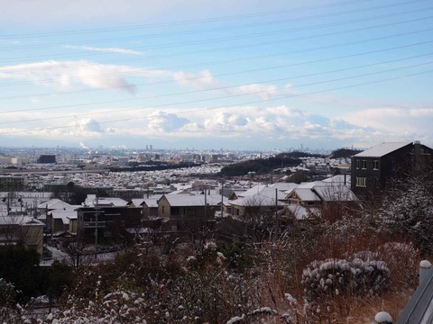 20230125朝 (5)