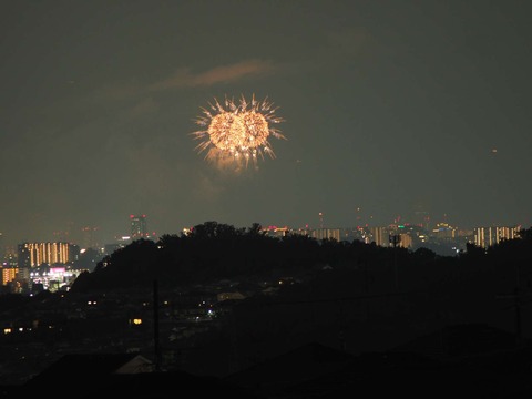 20220827なにわ淀川花火 (34)