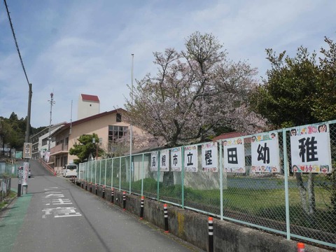 20260412府道号桜新緑 (13)