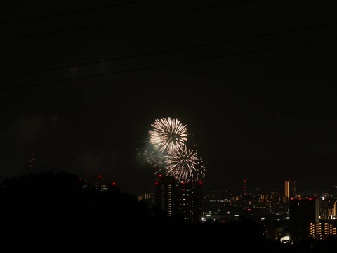 20240815くらわんか花火 (4)