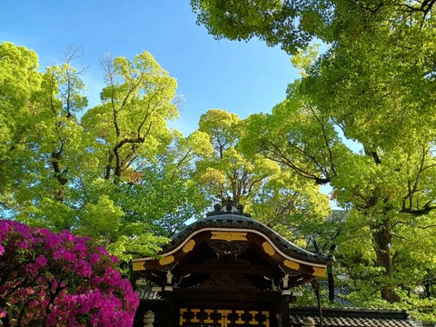 20260421永井神社 (8)