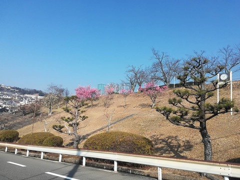 20240315卒園式 (1)