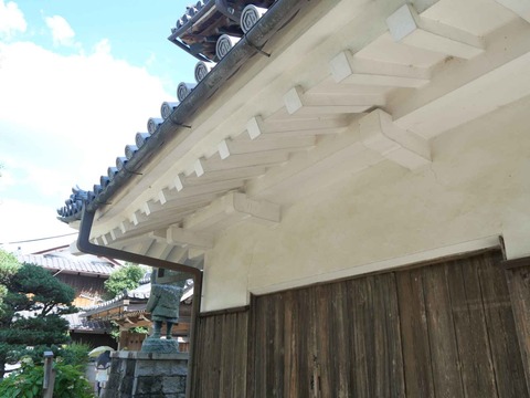 20240818園田城 (134)