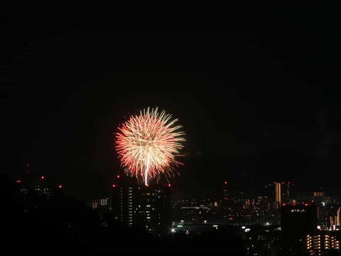 20250921くらわんか花火 (97)