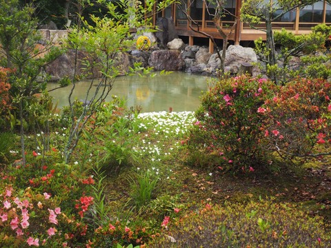 20220611安威川ダム_大門寺 (33)