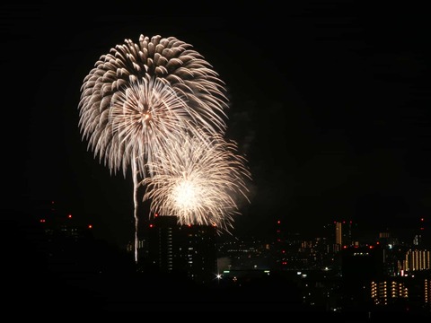 20250921くらわんか花火 (163)