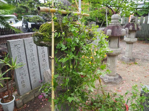 20240421永井神社