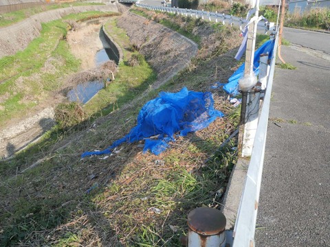 20260320山手町 (6)