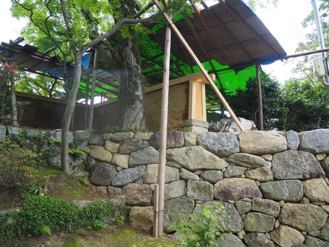 20220611安威川ダム_大門寺 (24)