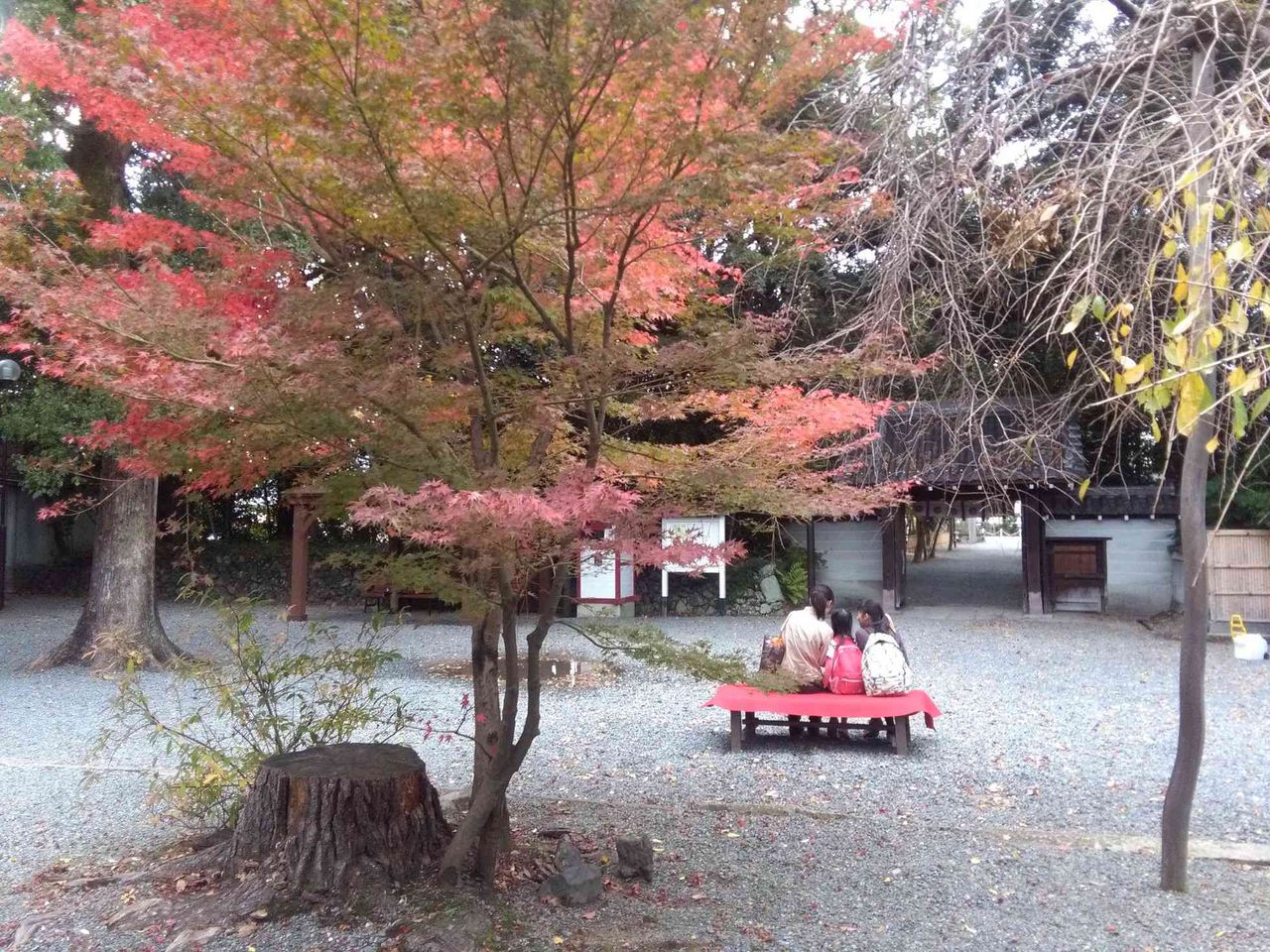 高槻からちびっとお出かけ 水無瀬神宮境内の風景ほか 高槻network新聞