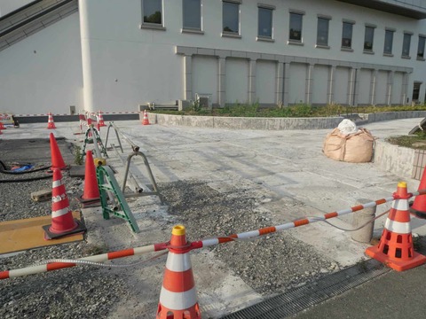 20260821高槻城公園北地区 (2)