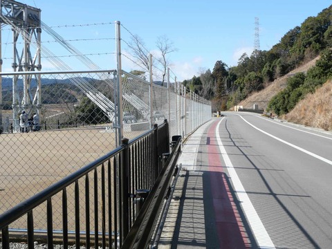 20250317吊り橋 (38)