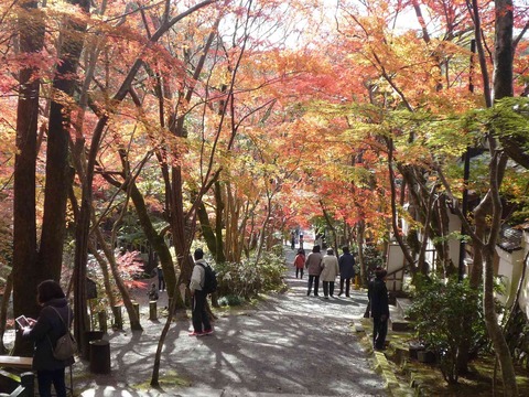 kouyo2017_5