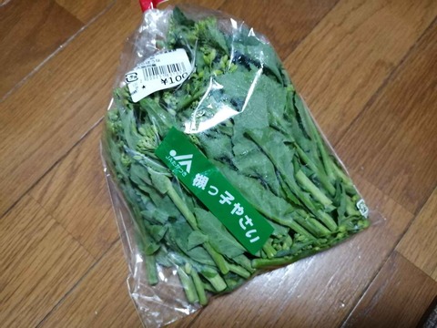 20240223のらぼうなな (1)