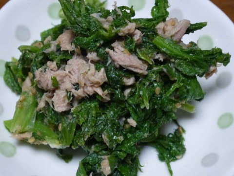 wasabina4